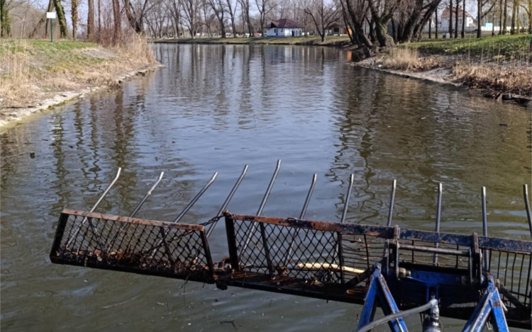 Kiszedték az uszadékfát a holtágról