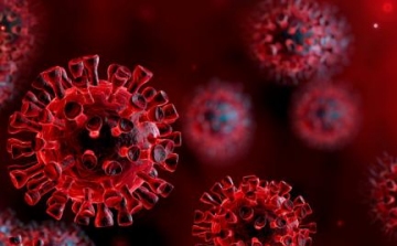 300-ra emelkedett a beazonosított koronavírus-fertőzöttek száma és 34-re a gyógyultaké