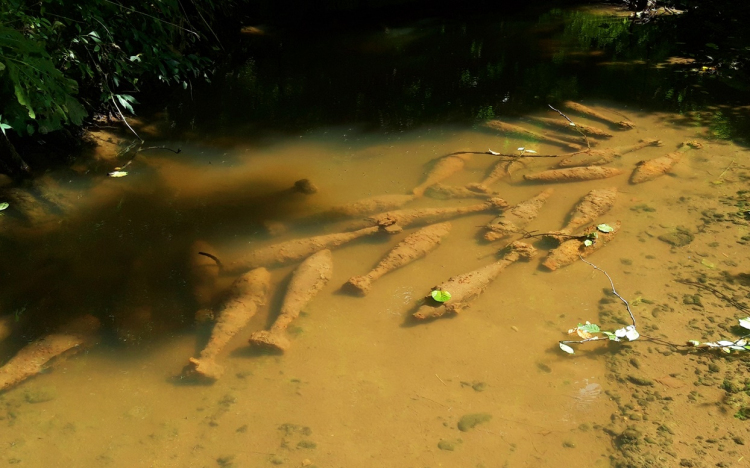 Robbanótesteket találtak a Gerence-patakban