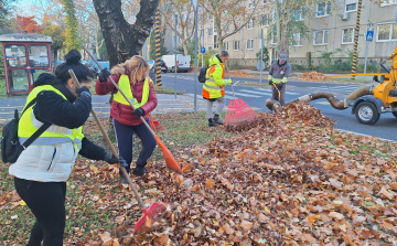 Gyűjti a lombot a Győr-Szol