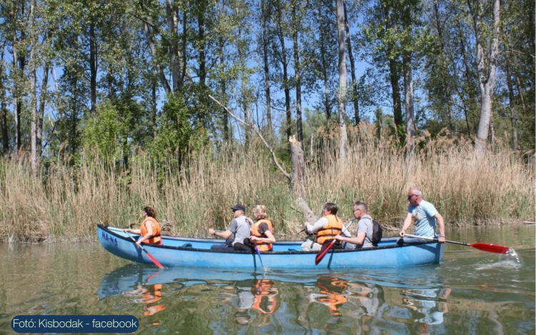 A madarak nyomában: ismeretterjesztő program és vízitúra Kisbodakon