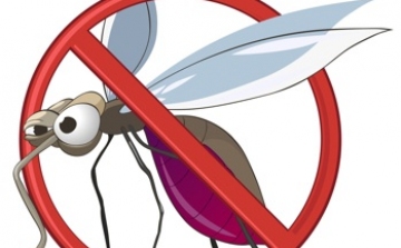 Tuti tippek a szúnyogok ellen 