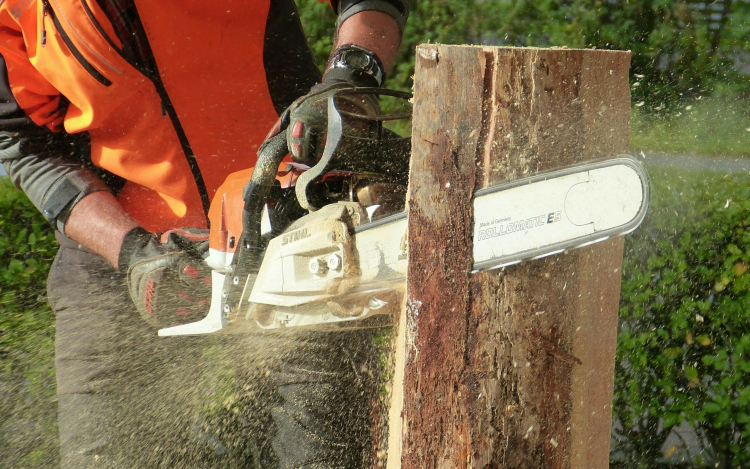 Őszi fakivágások, metszések a városban