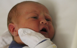 Simon Benedek János 