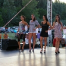 IV. Szigetközi Music Fesztivál 2011.07.08. (péntek) (2.) (Fotók: Joy)
