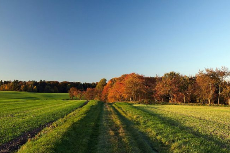 Tavasz a télben: Nem minden napi meleg lesz