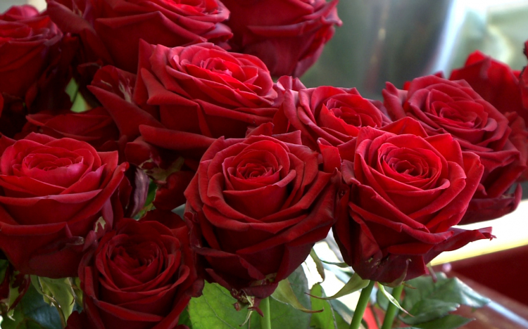 Valentin-nap – A rózsából fogy a legtöbb
