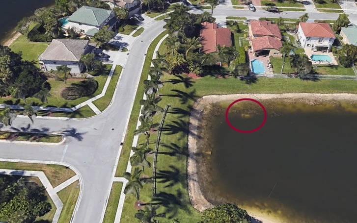 Huszonkét év után,  Google Mapsen találták meg egy floridai férfi holttestét