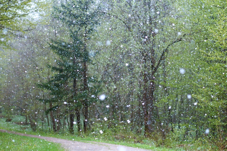 Szerda estig lehet havazás a Dél-Dunántúlon