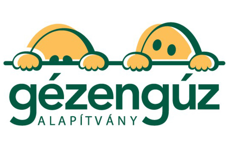 Ingyenes szűrőprogrammal segít a Gézengúz Alapítvány Győri Intézetében augusztusban