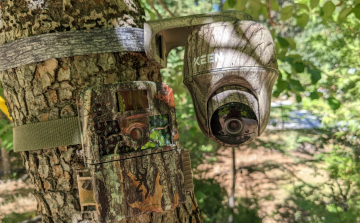 Vadkamerát szerelnének fel a szemetelők ellen