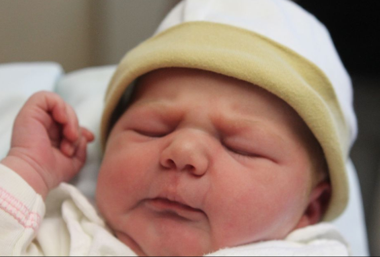 Szadlis-Karácsonyi Csenge 