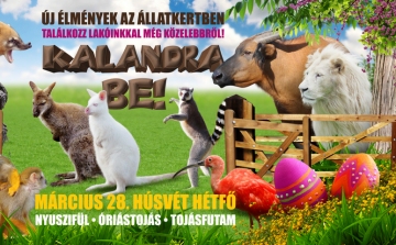 Kalandra BE! - Húsvéti mulatság a győri állatkertben