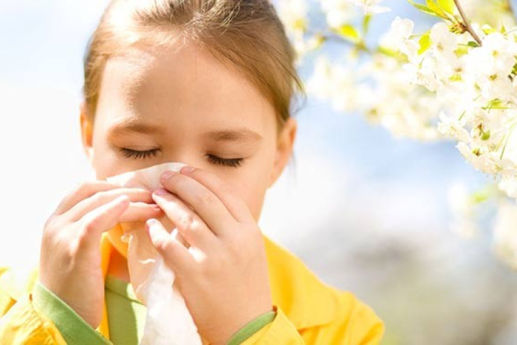 Megkétszereződött az allergiások száma