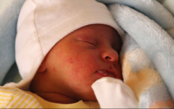 Szőke Richárd Armandó 