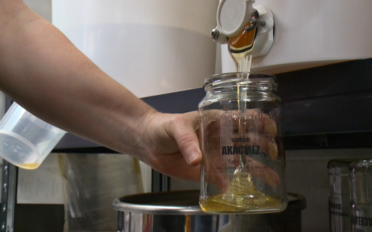 Alig lesz idén akácméz