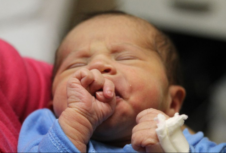 Bakos Dorina Vanessza 