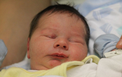 Bittmann István Alexander 