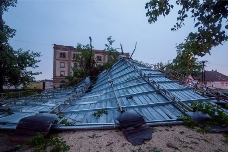 Több mint 180 esetben avatkoztak be a tűzoltók országszerte 