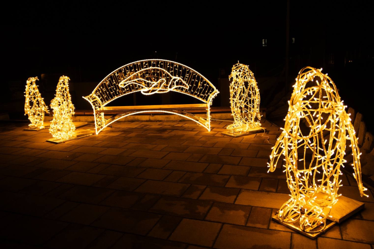 Szezonzárót tart az állatkert fényparkja