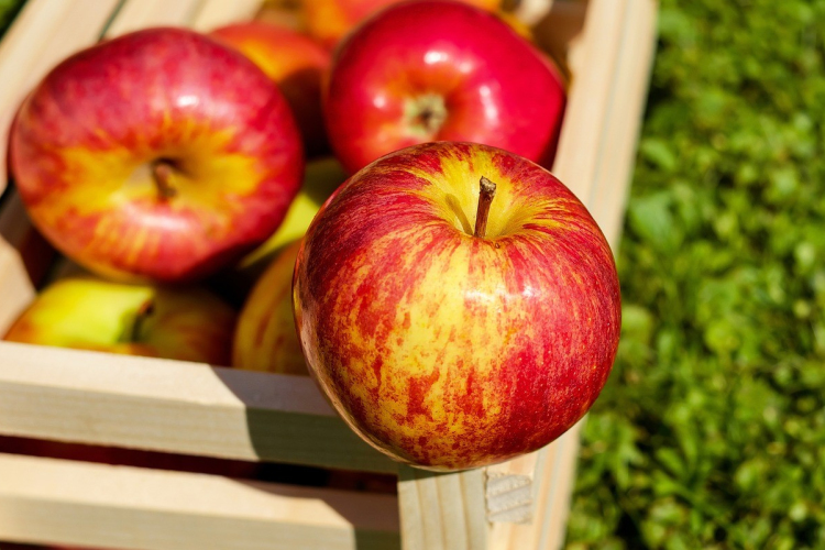 Több helyen van „Szedd magad”!