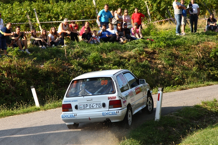 Rally: Változatos körülmények