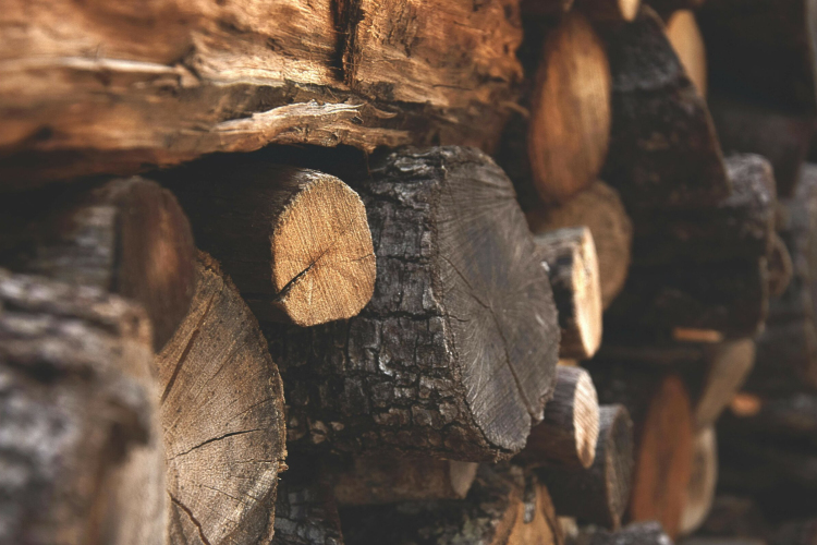 A hideggel megjelentek a tűzifacsalók – Vigyázzunk!