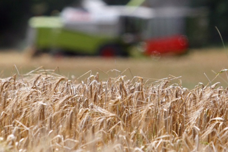 Nagy lehetőségek Magyarország digitális agrárstratégiájában