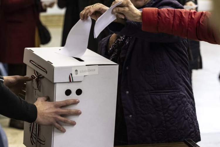 A kiserdőről pró és kontra: szavazás indul