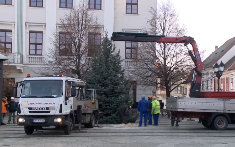 Ezüstfenyő érkezett a győri Széchenyi térre