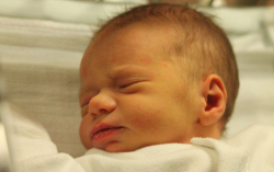 Dutkon Balázs Levente 