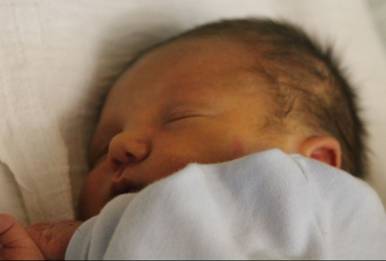 Kovács Sipeki Márk 