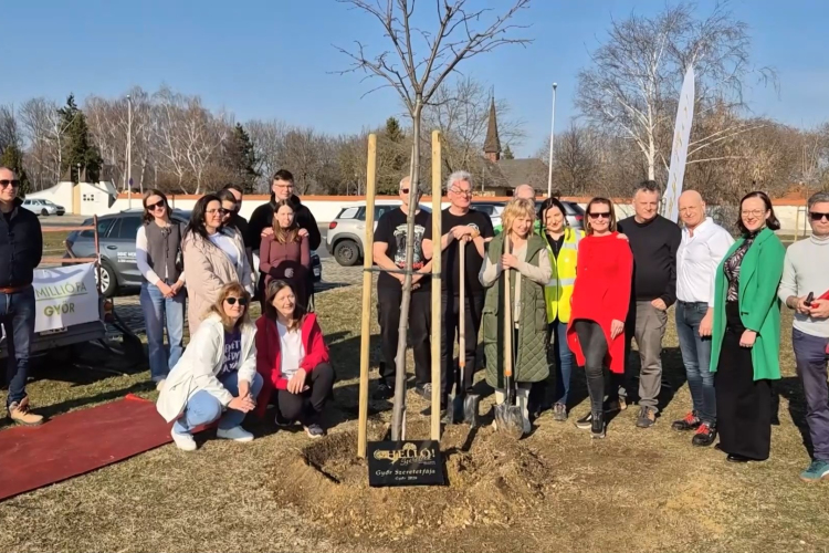 Elültették Győr szeretetfáját