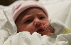 Solymosi Zille Panna