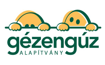 Ingyenes szűrőprogrammal segít a Gézengúz Alapítvány Győri Intézetében augusztusban