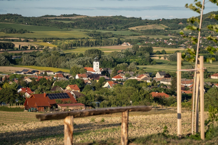 Ismét önálló hivatala van Écsnek