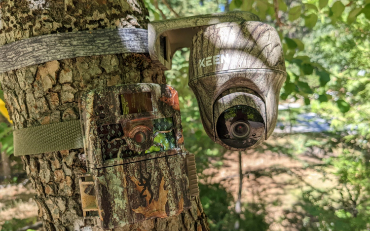 Vadkamerát szerelnének fel a szemetelők ellen