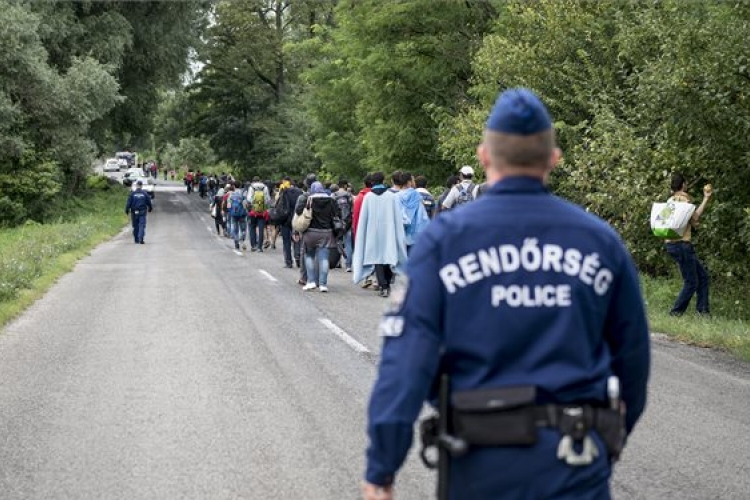 Migránsok megrongáltak egy menetrend szerinti buszt Röszkén