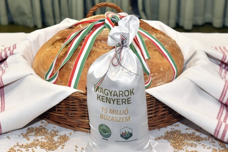 Magyarok Kenyere – Idén is meghirdetik a nagysikerű programot