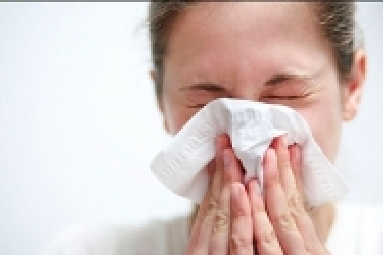 Az allergén gombák pollenszórása néhol nagyon magas szintre emelkedhet