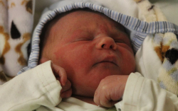 Ditrich Lénárd Lukács 