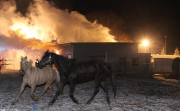 Égő istállóból mentették ki a lovat a rendőrök
