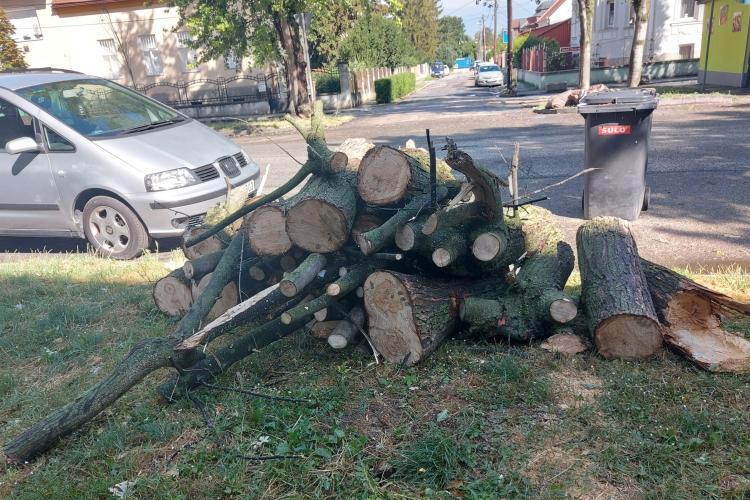 Tarolt a vihar Győrben