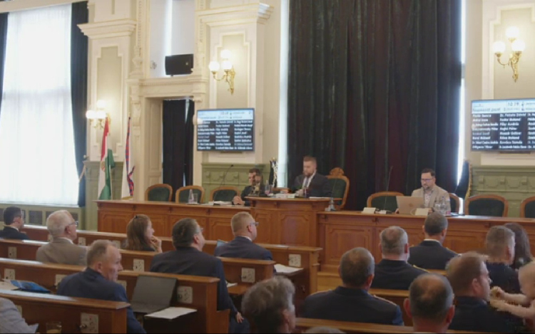 Nem lett védett a teljes kiserdő, 2,5 százalékán épülhet akár idősotthon is