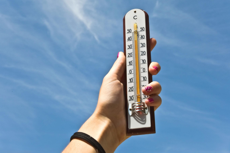 Hétvégére itt a tavasz