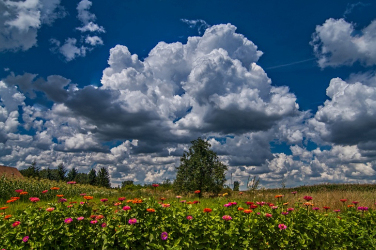 Délután már jöhetnek záporok, zivatarok