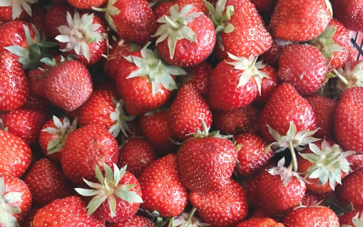 A hűvös május miatt elhúzódik az idei szamócaszüret