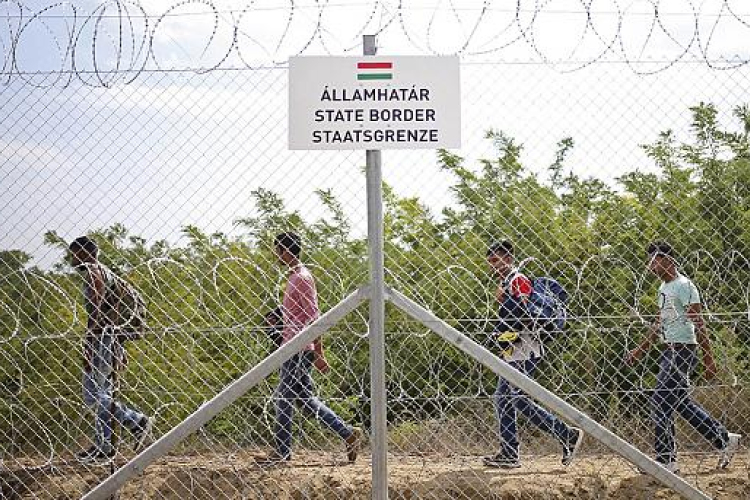 Illegális bevándorlás - Ausztria 75 katonával segítené a magyar-szerb határ védelmét