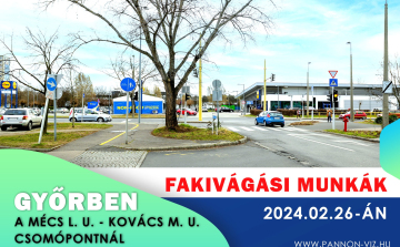 Fákat vágnak ki Győrben, lassulhat a forgalom – mutatjuk, melyik csomópontot érinti
