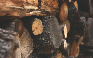 A hideggel megjelentek a tűzifacsalók – Vigyázzunk!